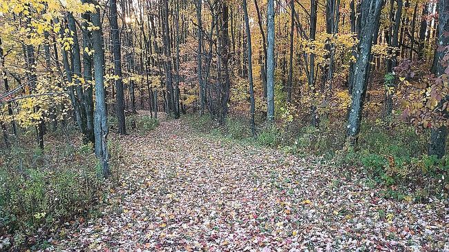Photo of 20592 Grange Center Rd, Saegertown, PA