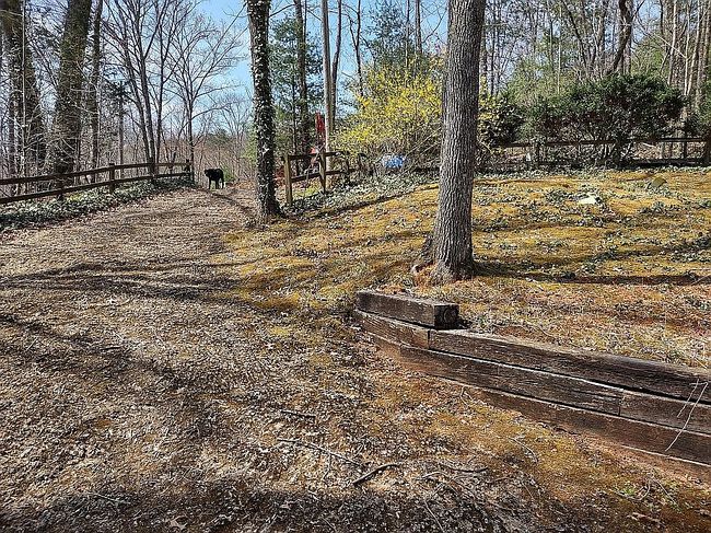 Image of 198 Old Dogwood Dr