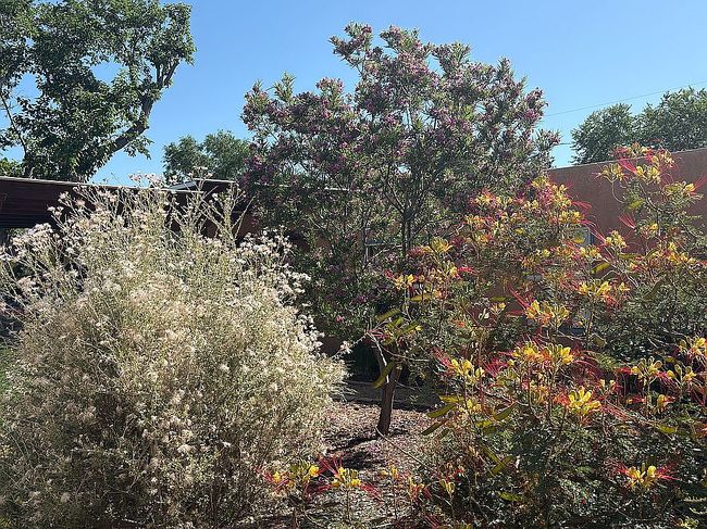 Photo of 732 Lafayette Dr Ne, Albuquerque, NM