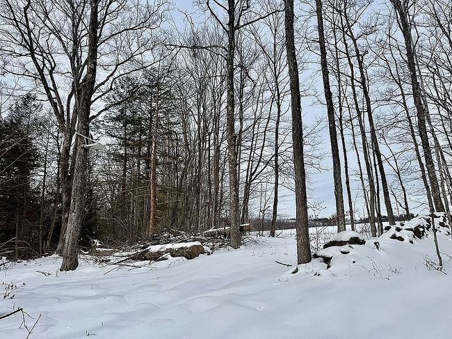 Image of 0 Cochrane Rd