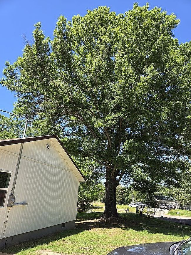 Photo of 1430 Middleton Loop, Bolivar, TN