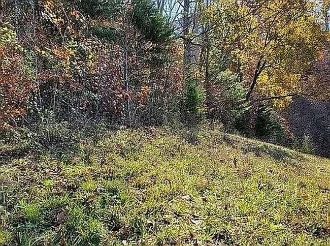 Image of Lot-404R Russell Brothers Rd