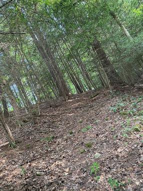 Image of 165 Service Rd