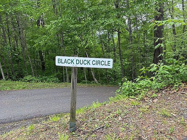Photo of Black Duck Cir, Whittier, NC