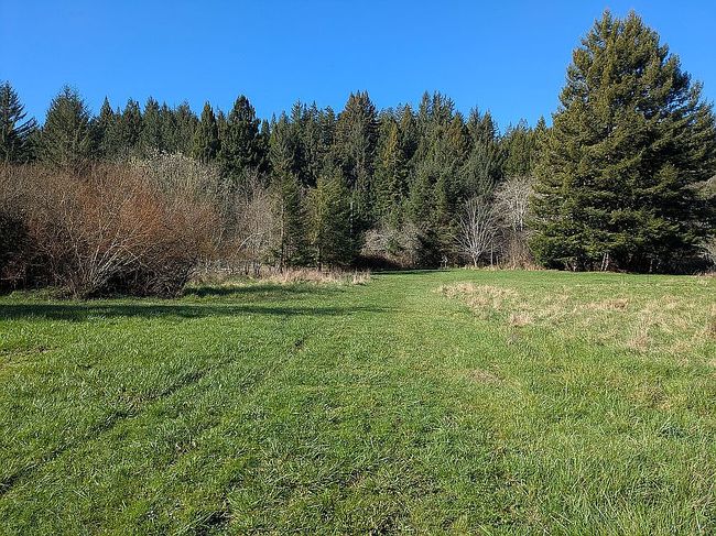 Image of 3748 Old Railroad Grade Rd