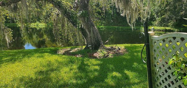 Photo of 6571 Draw Ln #105, Sarasota, FL
