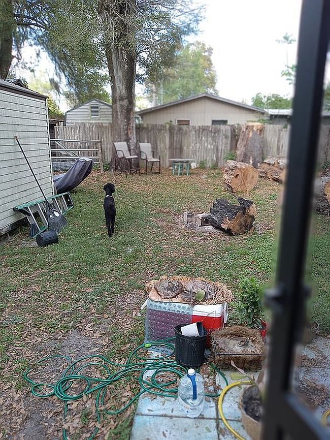 Photo of 29115 Thackeray St, Nobleton, FL