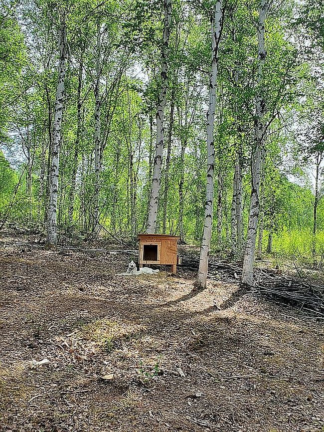 Photo of 4531 Treasure St, Fairbanks, AK