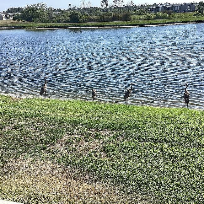 Image of 12116 Sw County Road 769 #136
