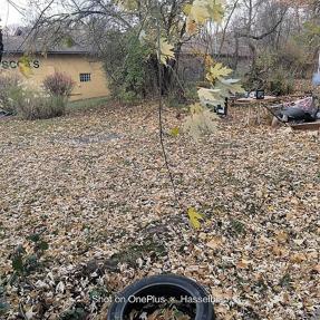 Additional photo 3 of property located at 1601 Wellington Ave