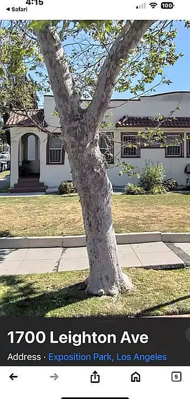Photo of 3959 S Saint Andrews Pl, Los Angeles, CA
