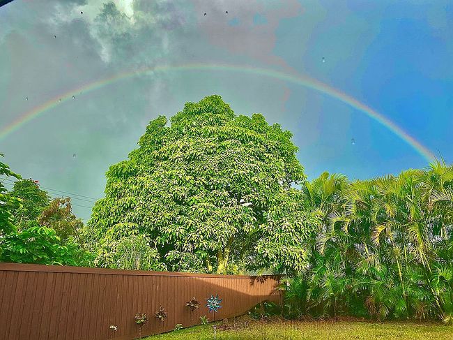 Photo of 2088 Puu Kaa St, Kapaa, HI