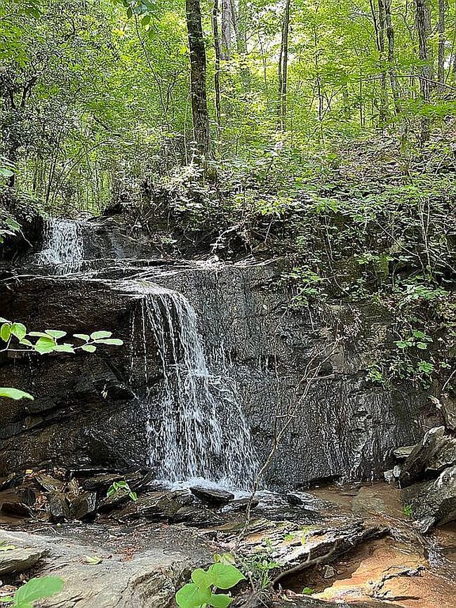 Image of 3723 County Road 3