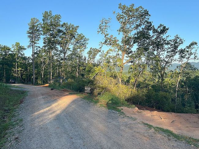 Photo of 86 Warren Ridge Way #4, Old Fort, NC