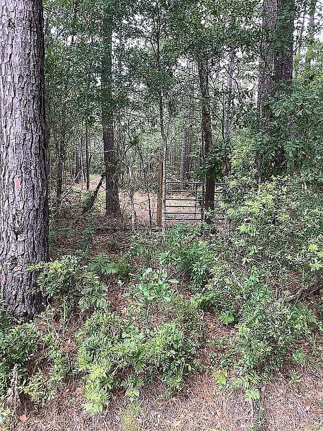 Photo of 141 Ephraim Rd, Saint Helena Island, SC