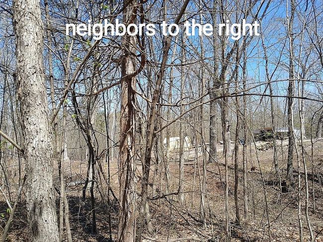 Image of 1720 Elmer Cox Rd