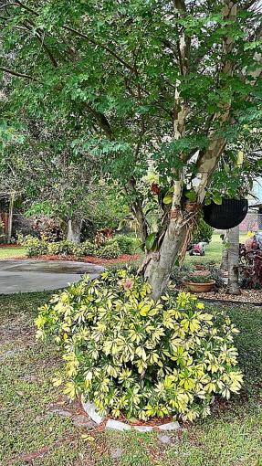 Image of 2532 Se Leithgow St