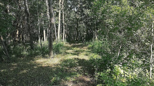 Photo of 2363 Quail Ave, Lime Springs, IA