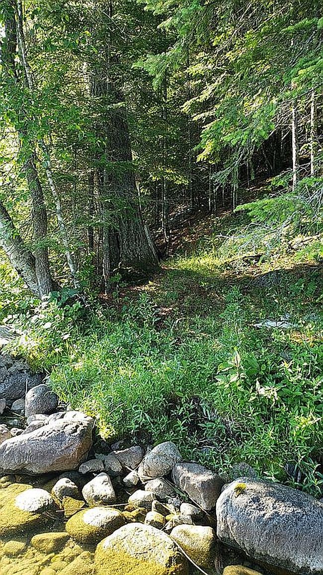 Image of 31285 County Highway 35