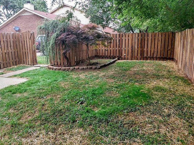 Image of 1634 N Tennessee Blvd