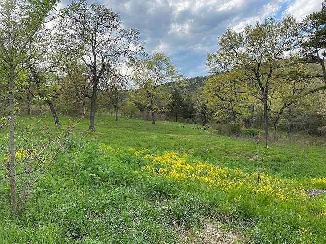 Image of 5266 County Road 207