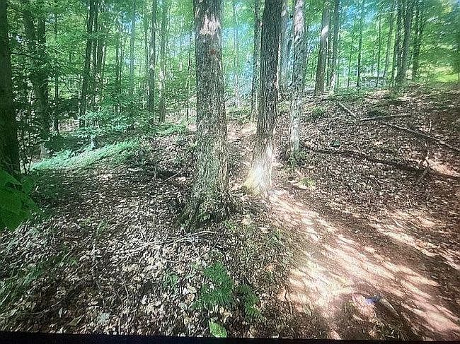 Photo of 8 Shady Ln, Montpelier, VT