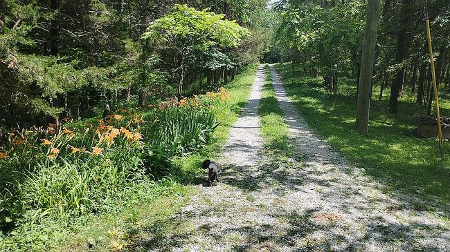 1662 Lawson Ln, Willisburg, KY