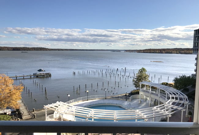 1250 S Washington St #515, Alexandria, VA