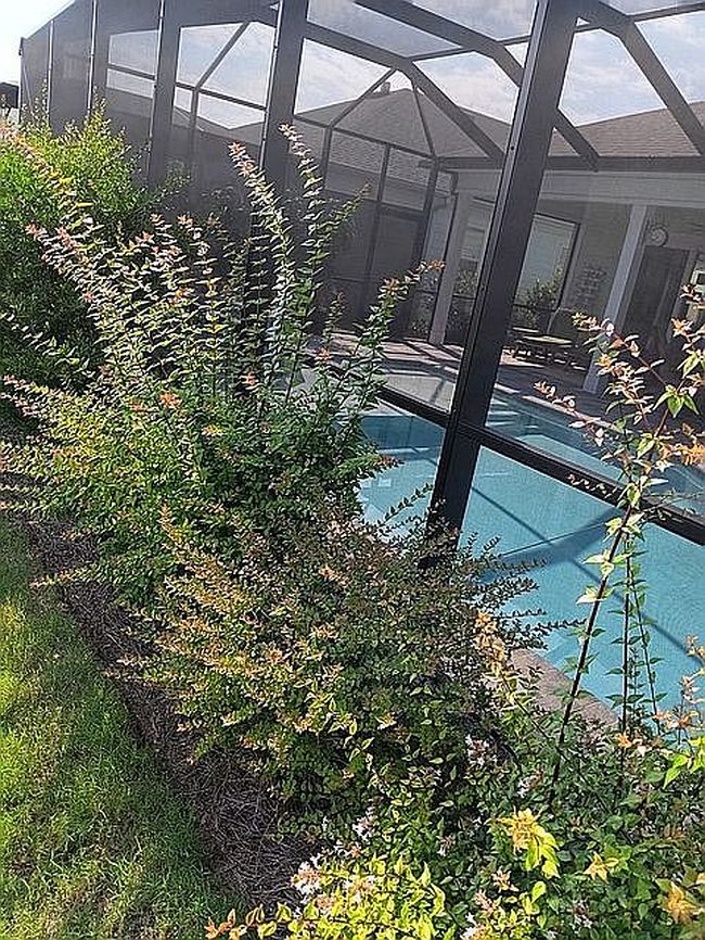 Photo of 8412 Margarita Pl, Panama City Beach, FL