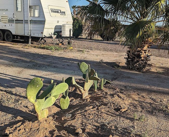Photo of 39740 E Ohio Ave, Tacna, AZ