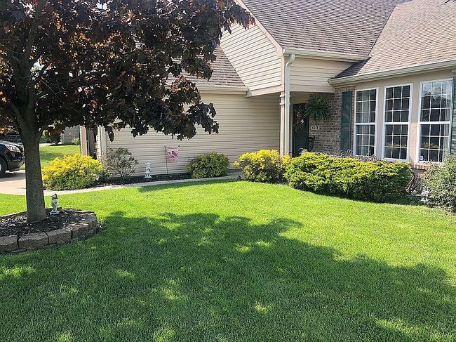 Image of 4342 Sequoia Ct #46143