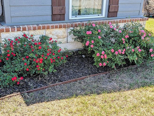 Photo of 1710 Stephanie Dr, Whitehouse, TX
