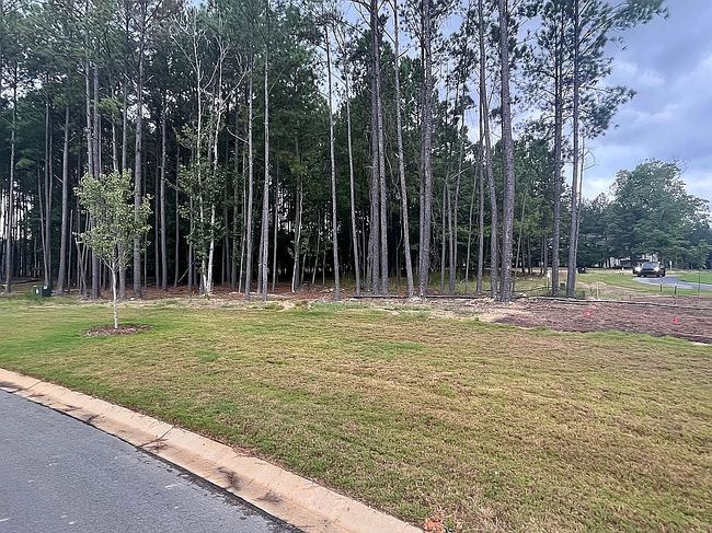Image of 0 Timber Trail Ln Lot 107