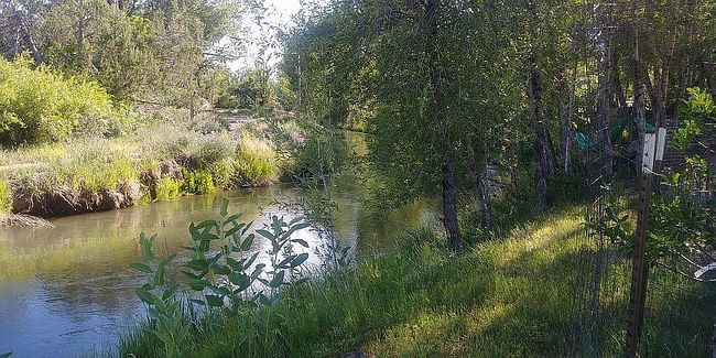 Photo of 16242 Farmers Mine Rd, Paonia, CO