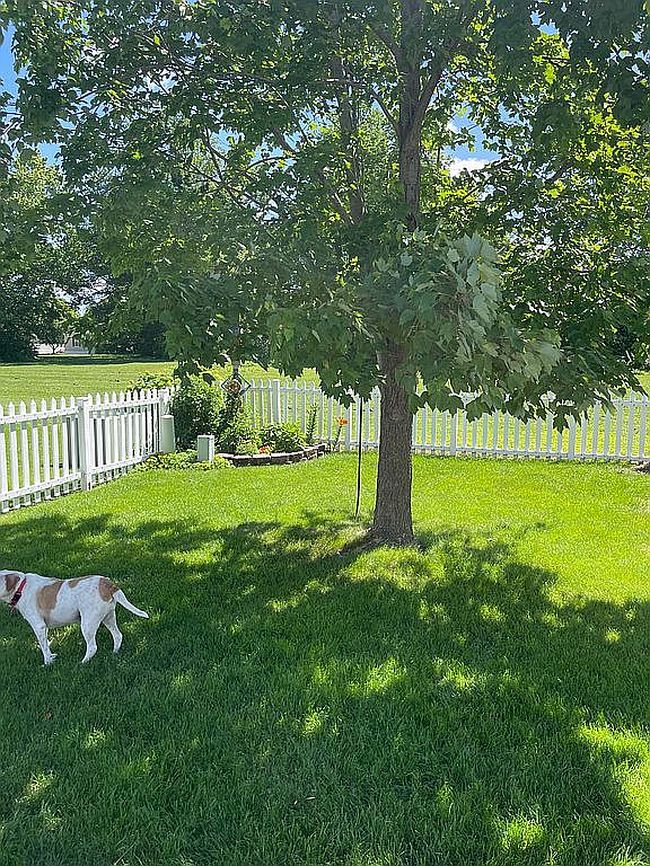 Photo of 3501 E Ridgely Rd #95, Springfield, IL