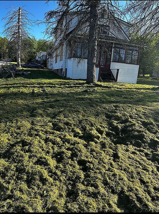 Photo of 18 Carrier St, Liberty, NY