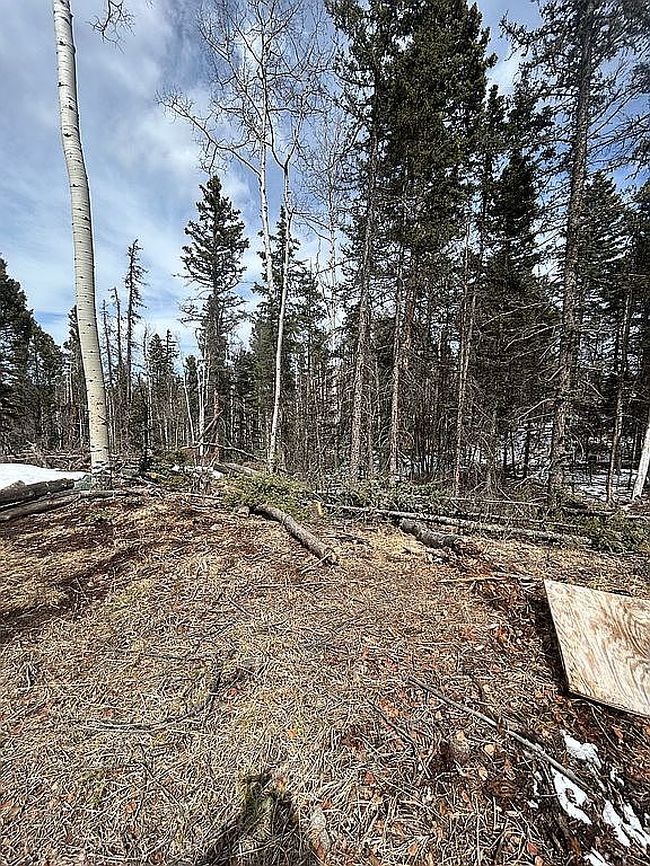 Image of 327 Timberline Dr