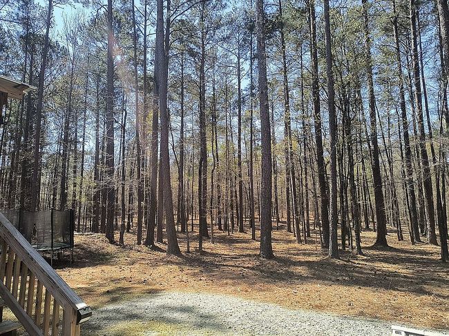 Image of 124 Lakeview Estates Ln