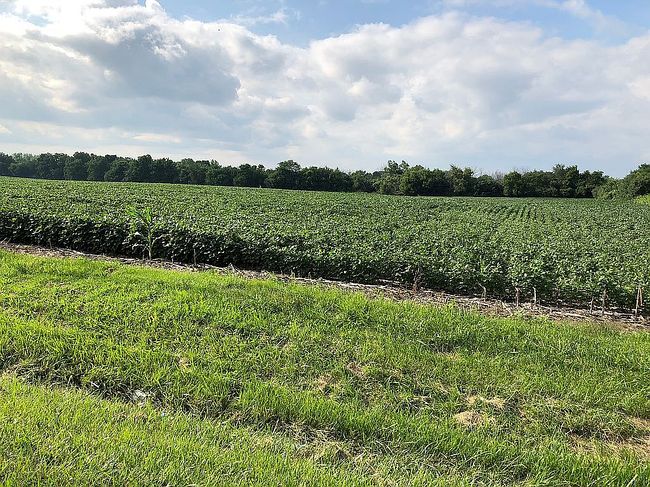 Additional photo 3 of property located at 2526 S Briggs St