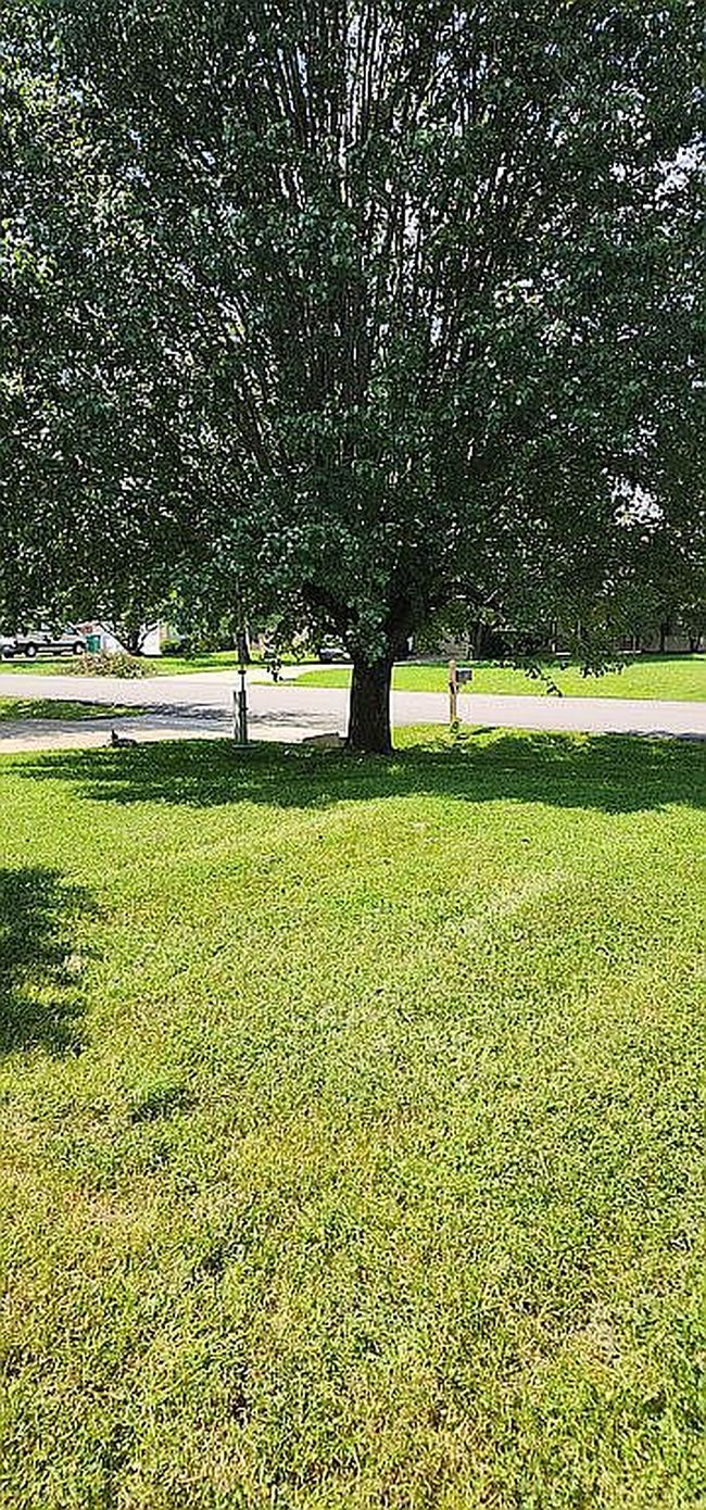 Photo of 2117 Spring Hill Cir, Spring Hill, TN