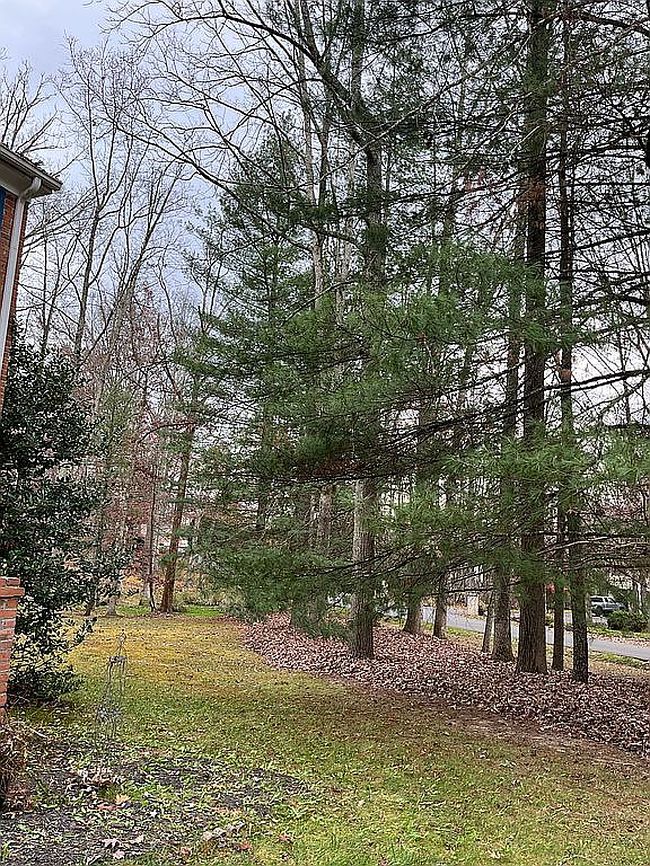 Image of 20 Hummingbird Ln