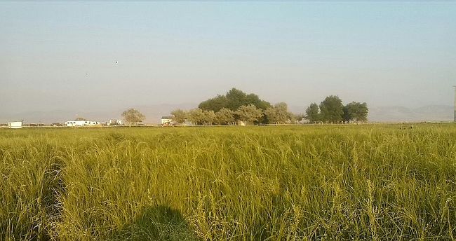 Preview of property located at 6045 Colt Dr