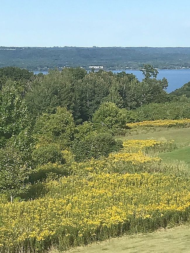 Additional photo 3 of property located at 27682 709th St