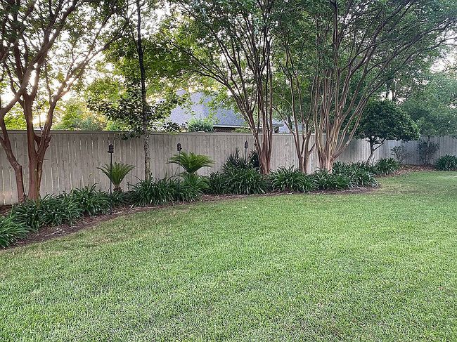 Image of 423 Bridalwood Dr