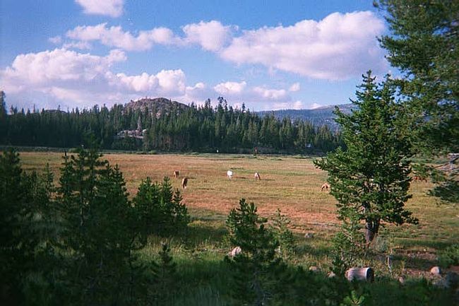 Photo of 50977 Wintergreen Way