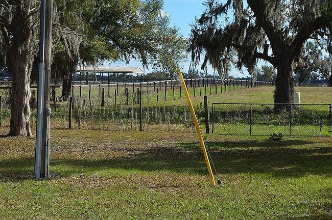 Photo of 2929 W Highway 318, Citra, FL
