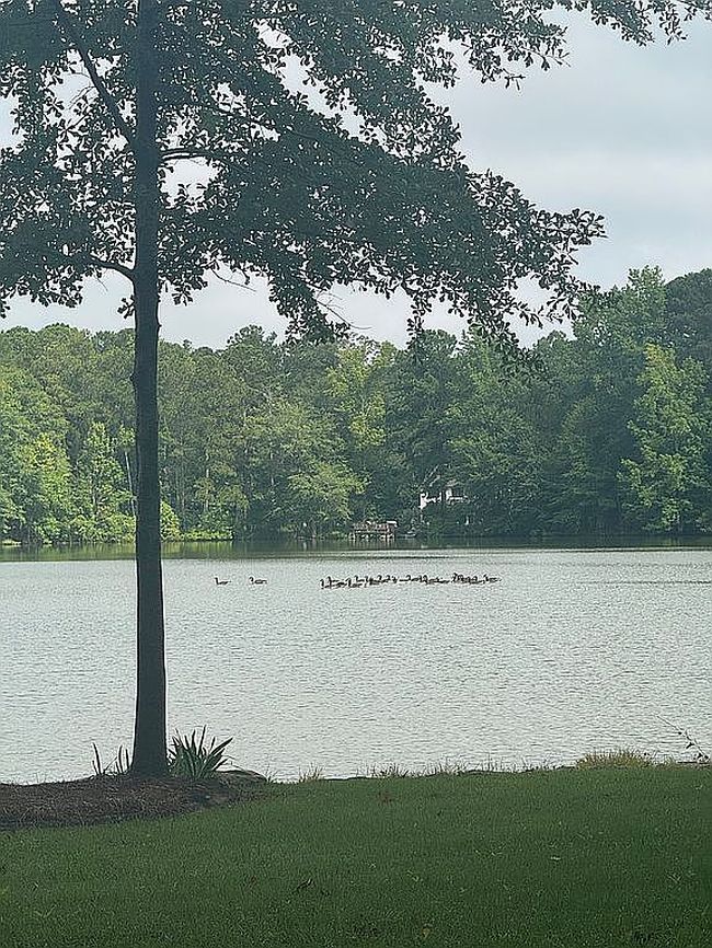Photo of 34 Willow Beach Rd, Ellerslie, GA
