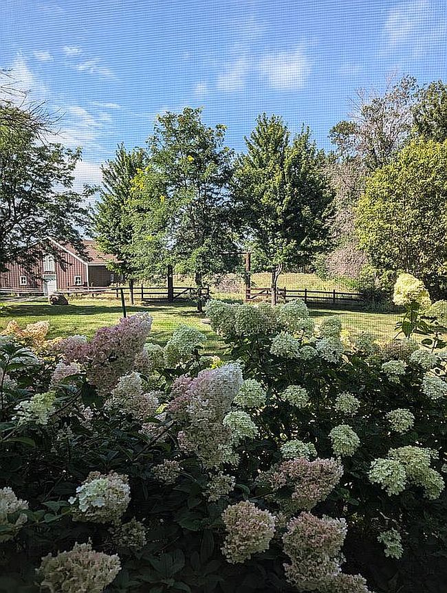 Image of 28387 County Highway 35