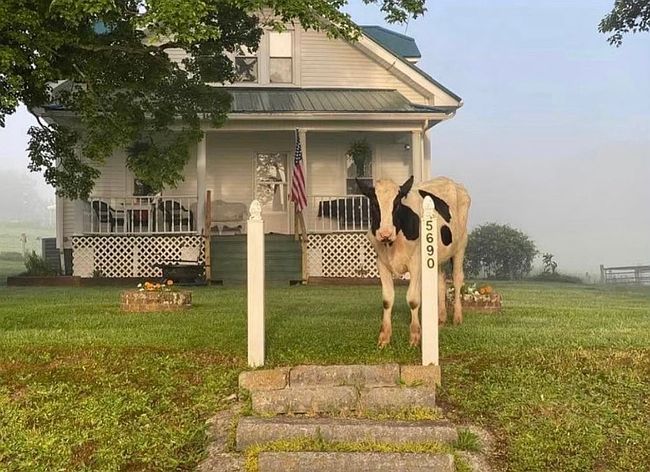 Additional photo 2 of property located at 5690 Burkes Garden Rd