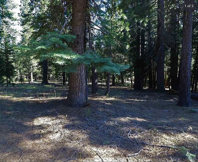 Image of 314 Osprey Loop